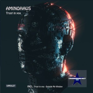 Listen to Trust in You (Original Mix) song with lyrics from Aminohaus