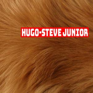 Hugo的專輯Steve Junior