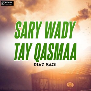 Listen to Sary Wady Tay Qasmaa song with lyrics from Riaz Saqi