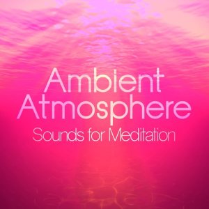 收聽Neville Taylor的Ambient Atmosphere歌詞歌曲