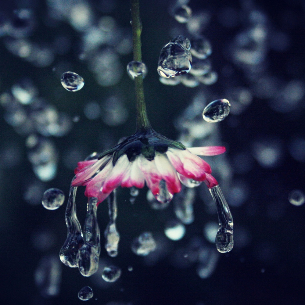 Morning Lullaby in Rain