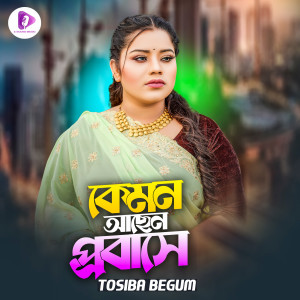 Listen to Kemon Achen Probashe song with lyrics from Tosiba Begum