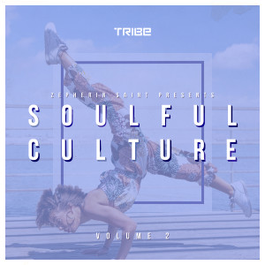 อัลบัม Zepherin Saint Presents Soulful Culture, Vol. 2 ศิลปิน Various Artists