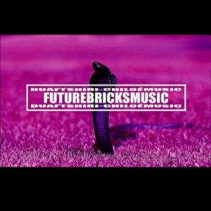 Futurebricks Music的專輯Zoom (feat. Shiri) (Explicit)