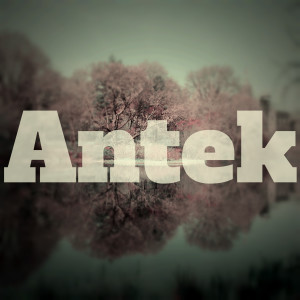 Listen to Turtle Park song with lyrics from Antek