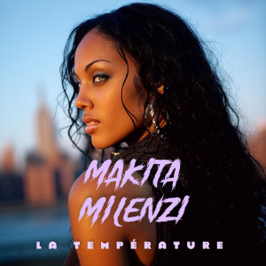 Listen to La température song with lyrics from Makita