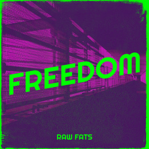 Listen to Freedom (Explicit) song with lyrics from Raw Fats