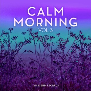 Various Artists的专辑Calm Morning (Vol 3)