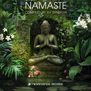 Listen to Echo of Heaven (Original Mix) song with lyrics from Amritone