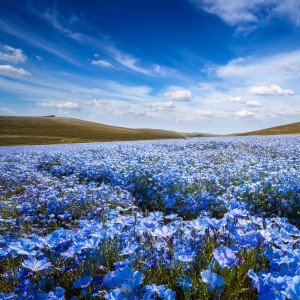 ดาวน์โหลดและฟังเพลง The Breath Between The Clouds พร้อมเนื้อเพลงจาก Relaxing Harmonies