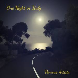 One Night in Italy dari Various Artists