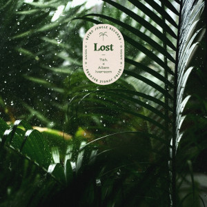 Tah.的专辑Lost