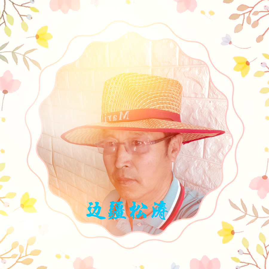 边疆松涛