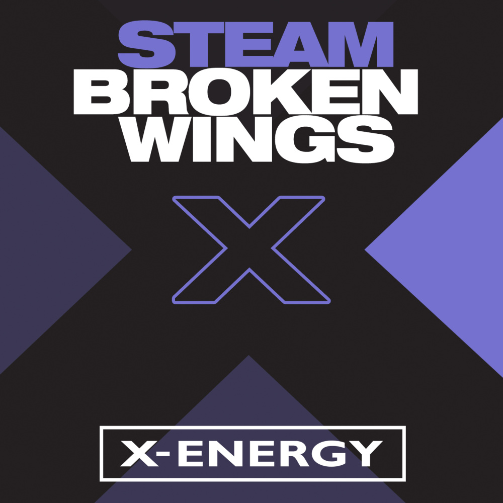 Broken Wings (Remix)