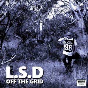 Listen to Slow Down(feat. Rob Shaker) song with lyrics from LSD