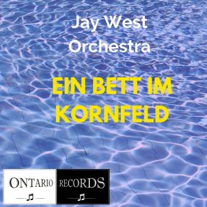 Jay West orchestra的專輯Ein Bett Im Kornfeld (Karaoke)