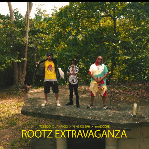 Listen to Rootz Extravaganza song with lyrics from Toledo