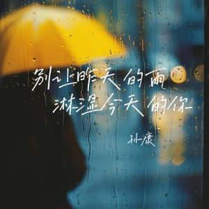 Listen to 别让昨天的雨淋湿今天的你 song with lyrics from 康乙