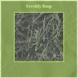 Album Freshly Bmp from 