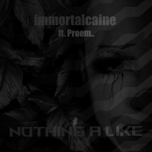 Album Nothing a Like (Explicit) from Immortalcaine