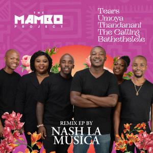 Album Nash La Musica Remix - EP from The Mambo Project
