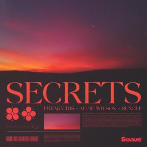 Freaky DJs的專輯Secrets