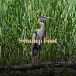 收听FTL Presents Latin All Star的Tampa Soul Ep (Betta Dayz Dub)歌词歌曲