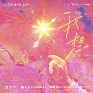 丁禹兮的专辑我想