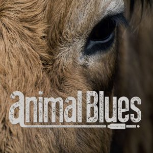 ดาวน์โหลดและฟังเพลง I Feelso Good พร้อมเนื้อเพลงจาก Animal Blues