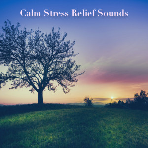 Listen to Nature Background White Noise song with lyrics from Nature Sounds