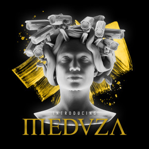 收聽MEDUZA的Born To Love歌詞歌曲