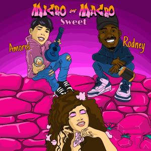 Amores的专辑Micro<Macro (feat. RODNEY)