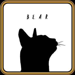 收听Bi-Polar Bear的Slat (Explicit)歌词歌曲
