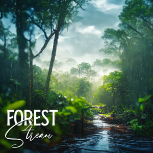 Listen to Background Music for Sleep song with lyrics from Forest Hills Music Universe