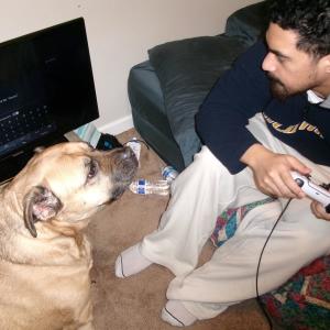 收聽musubizy的ill advised歌詞歌曲