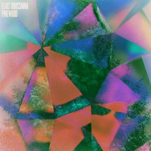 ดาวน์โหลดและฟังเพลง Pinewood พร้อมเนื้อเพลงจาก Elias Boussnina