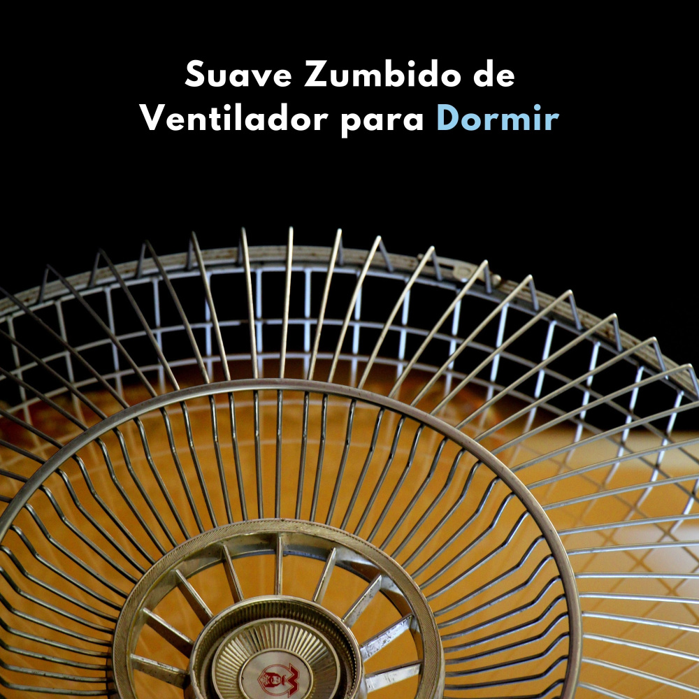 Ruido Calmante Eficaz