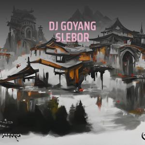 ICEM MIX的專輯Dj Goyang Slebor