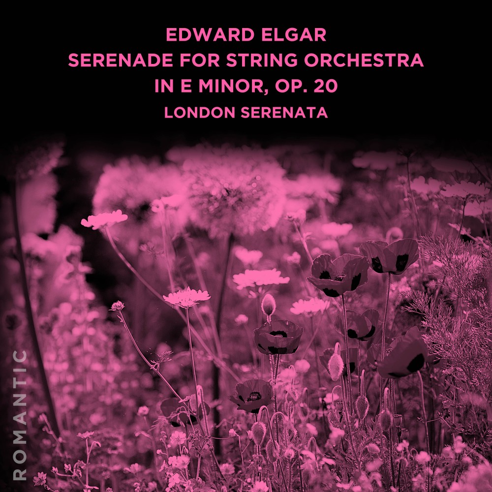 Serenade for String Orchestra in E Minor, Op. 20: I. Allegro piacevole