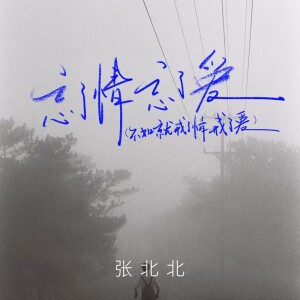 Album 忘了情忘了爱(不如就戒了情戒了爱) from 张北北