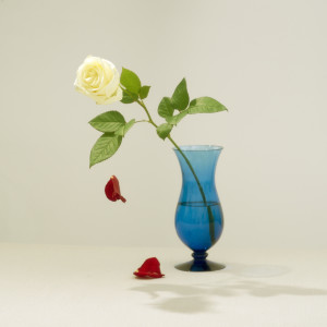Listen to Ready for Love song with lyrics from Schultz & Forever