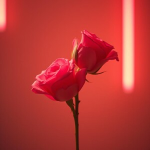 收聽Hariom Kumar的Moonlit Whisper歌詞歌曲