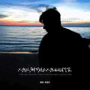 Listen to 只想做爱情的傻瓜只想安稳有个家 song with lyrics from 难猜