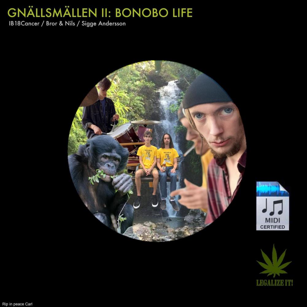 Dags att Runda Av