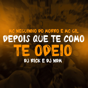 Album Depois Que te Como te Odeio (Explicit) from Dj Rick