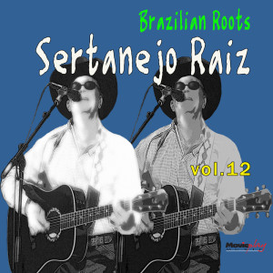Listen to Não Beba Mais Não song with lyrics from Jeca Mineiro E Luizinho