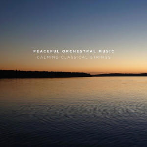 Chopin----[replace by 16381]的專輯Peaceful Orchestral Music - Calming Classical Strings