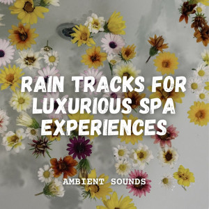 Ambient Sounds: Rain Tracks for Luxurious Spa Experiences dari Day Spa Music