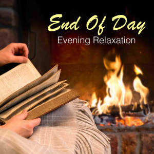 อัลบัม End Of Day Evening Relaxation ศิลปิน South German Philharmonic Orchestra