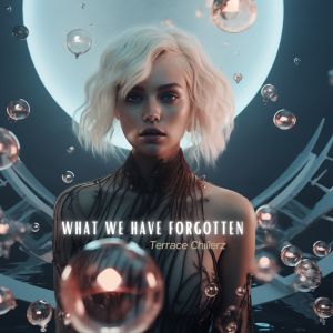 Album What We Have Forgotten from Terrace Chillerz